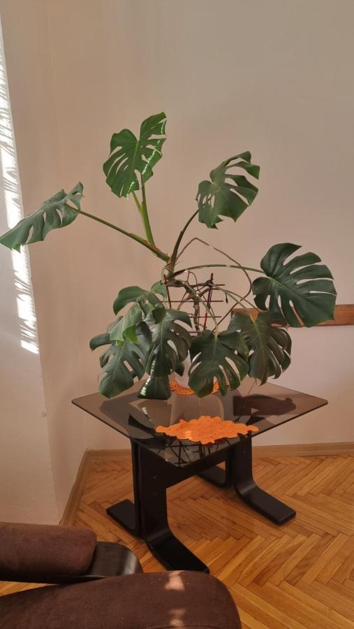Risto Apartment 斯科普里 外观 照片
